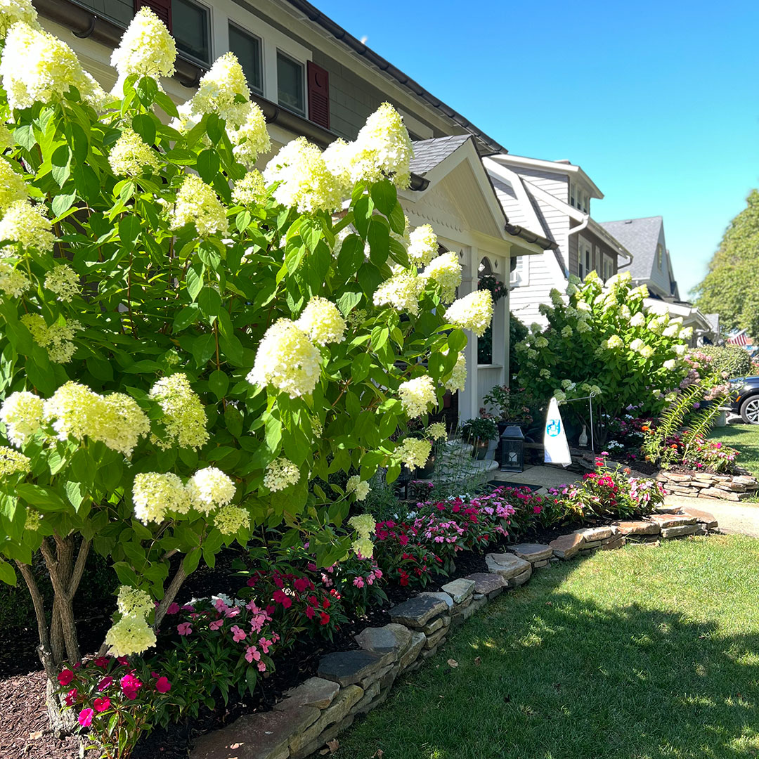 Plant & Sod Installation