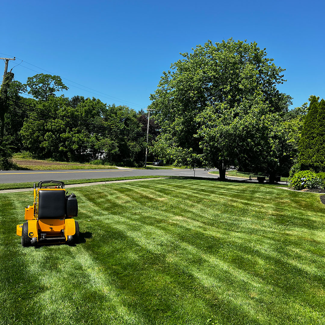 Lawn Care & Maintenace