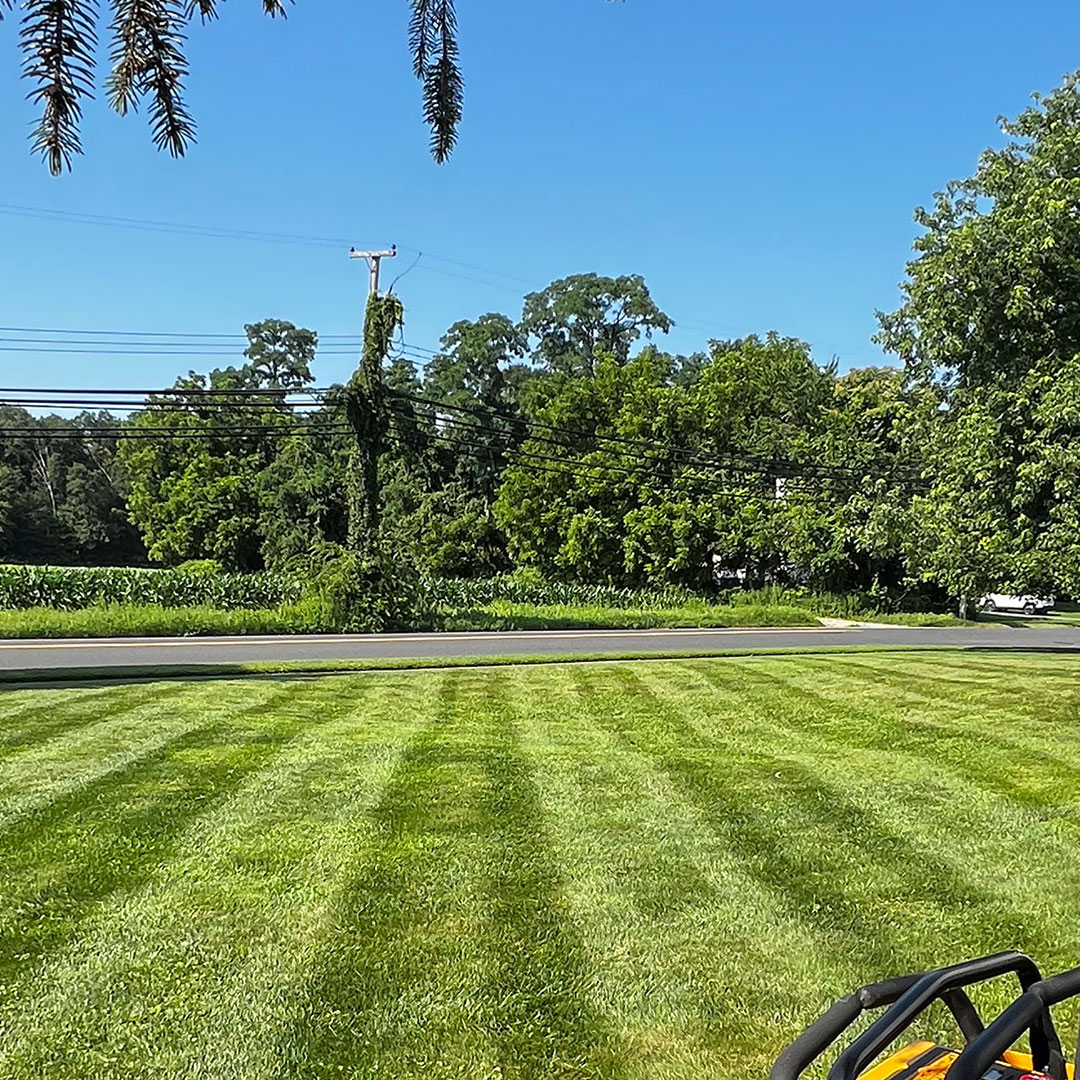 Seasonal and Annual Services